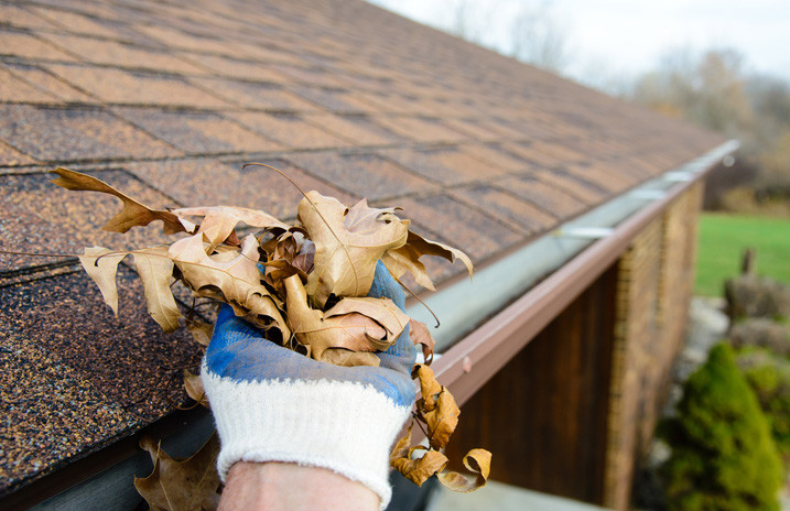 Gutters Cleaning
