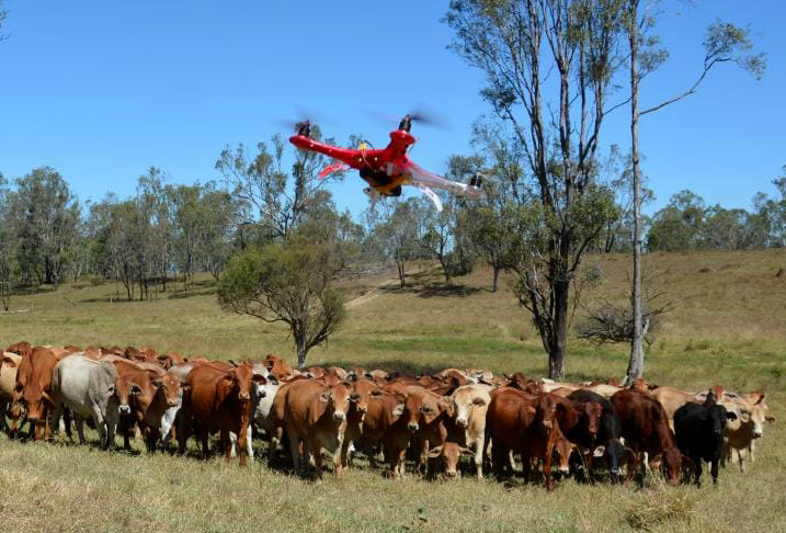 Using Remote Control Drone To Keep Eye On Farm