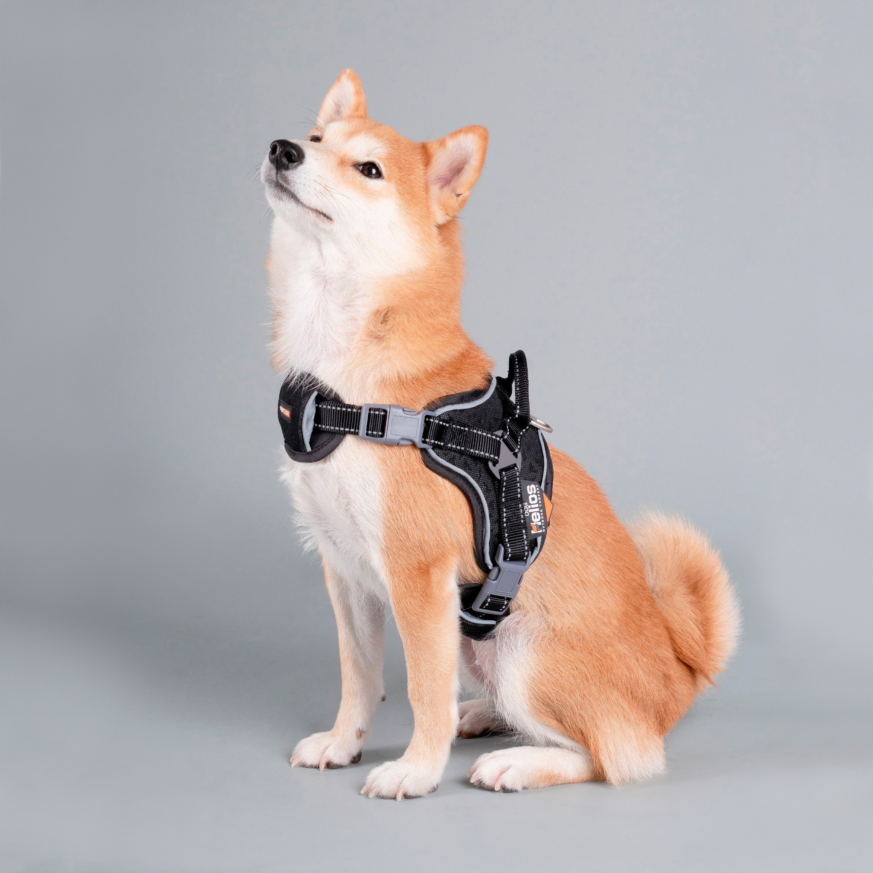 helios dog harness