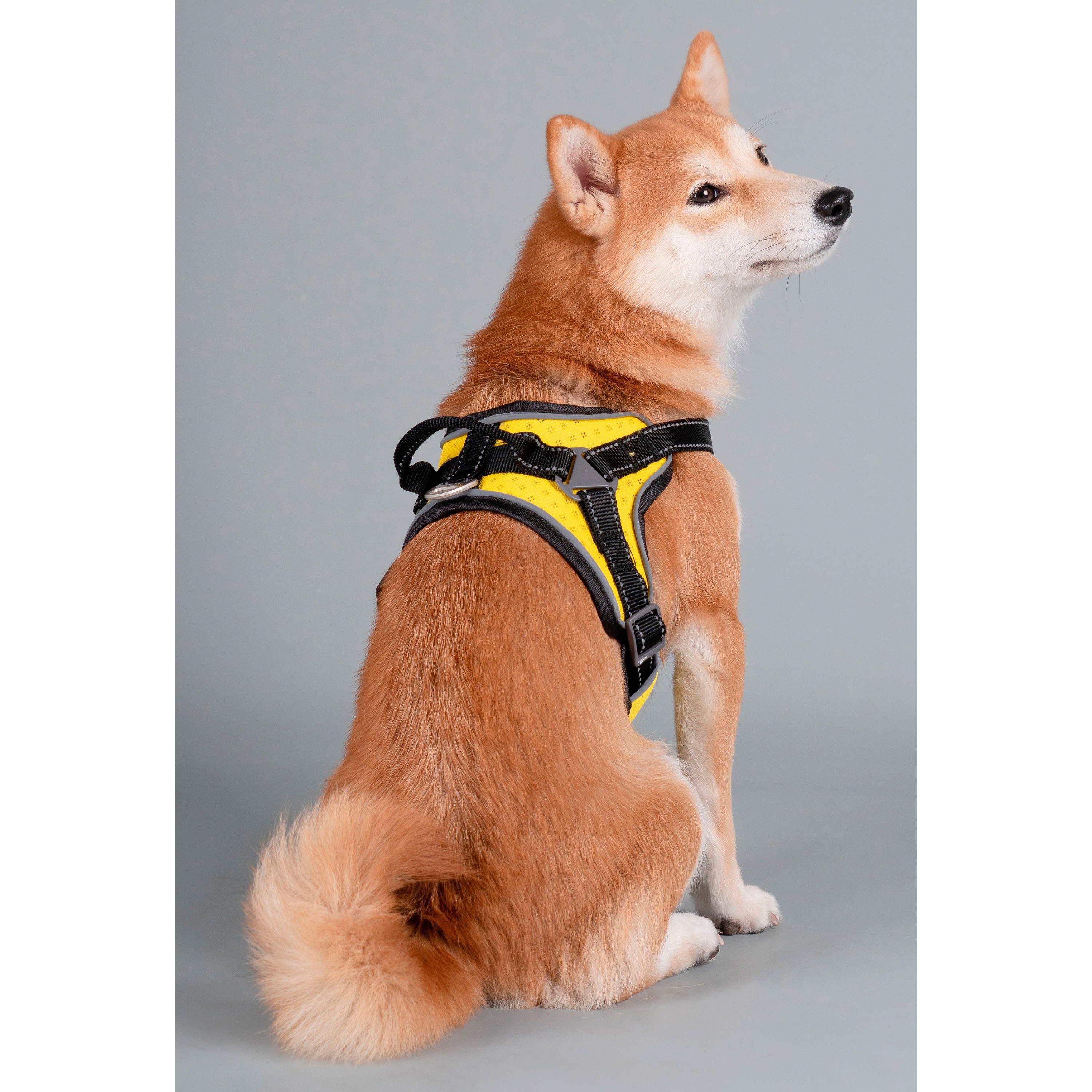 helios dog harness