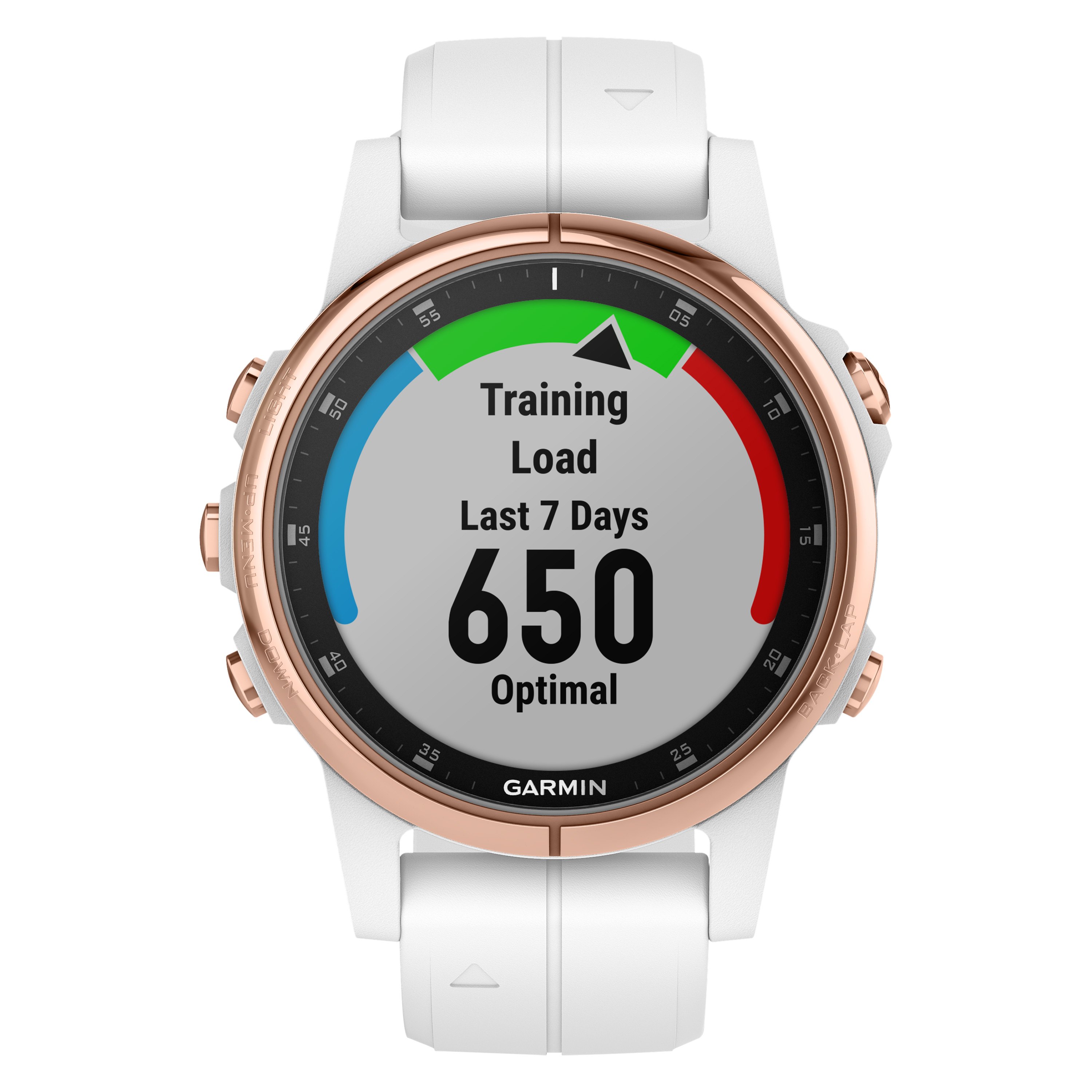 fenix 5 or galaxy watch
