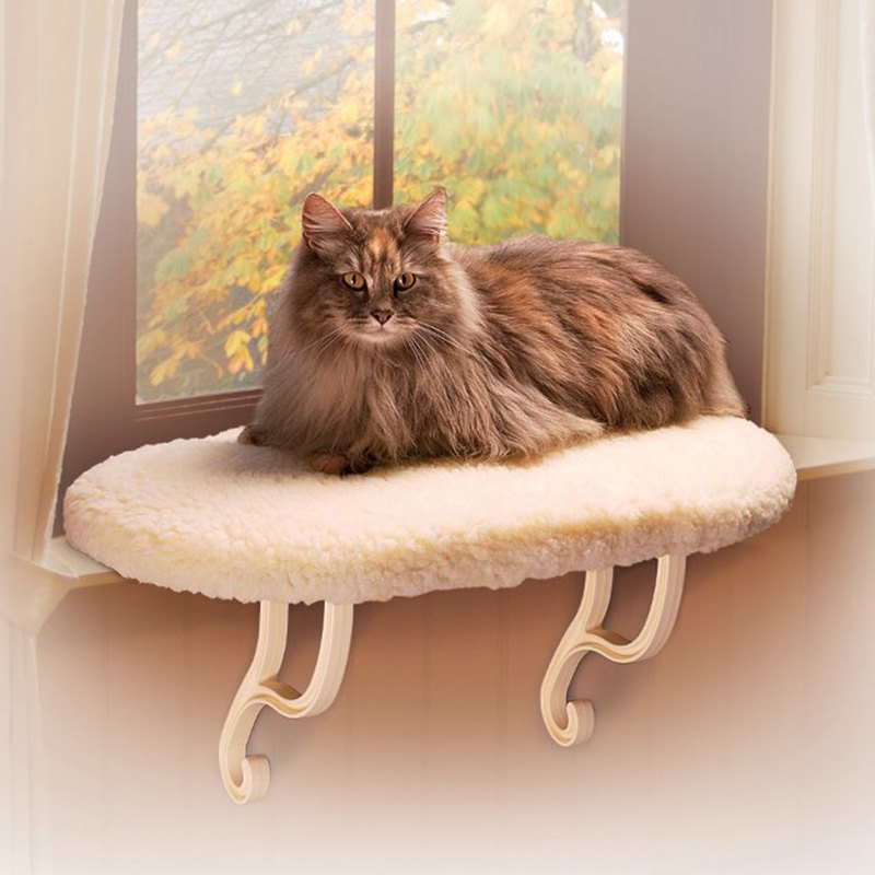 thermo kitty sill