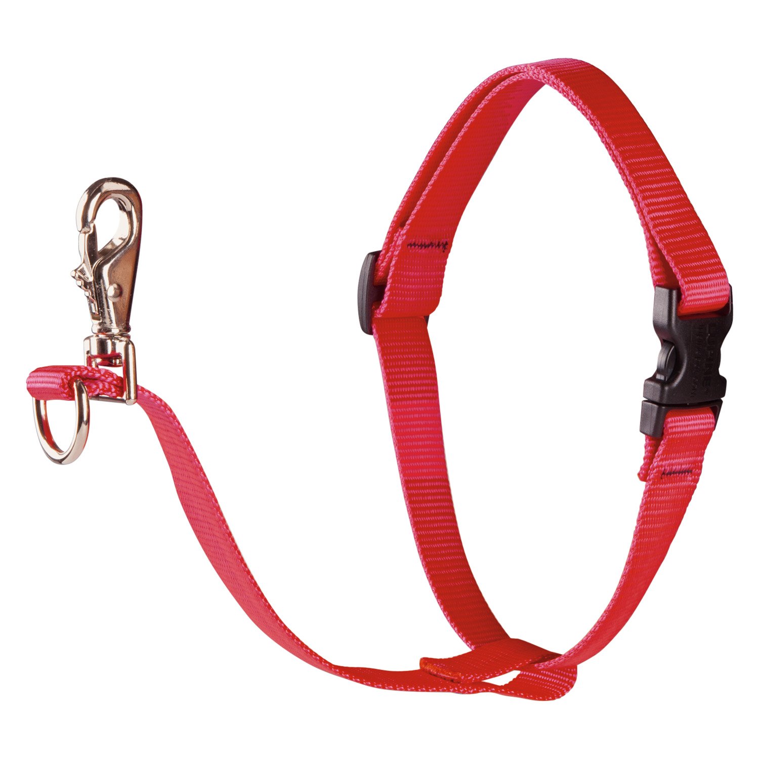 Lupine Pet® 22598 Basic Solid No Pull Training 1"x24"38" Red Dog