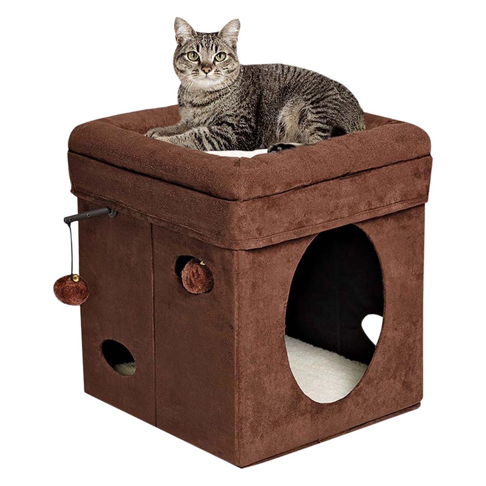 sport pet cat cube