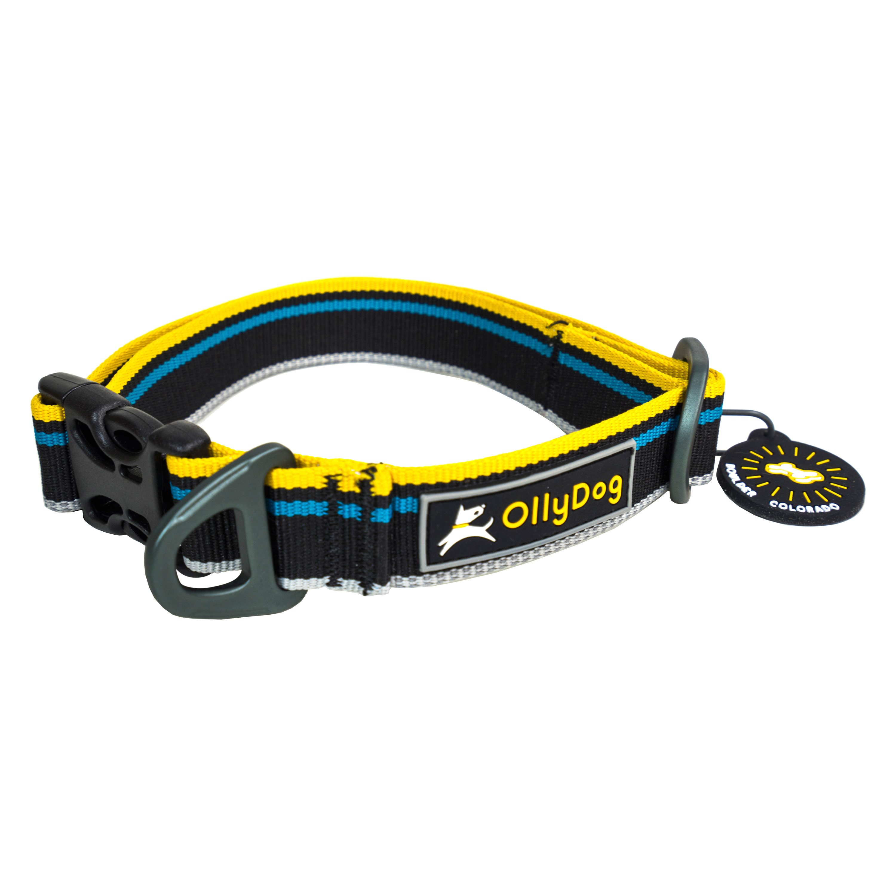 Olly Dog® 10" to 14" Polyester Reflective Everyday Dog Collar