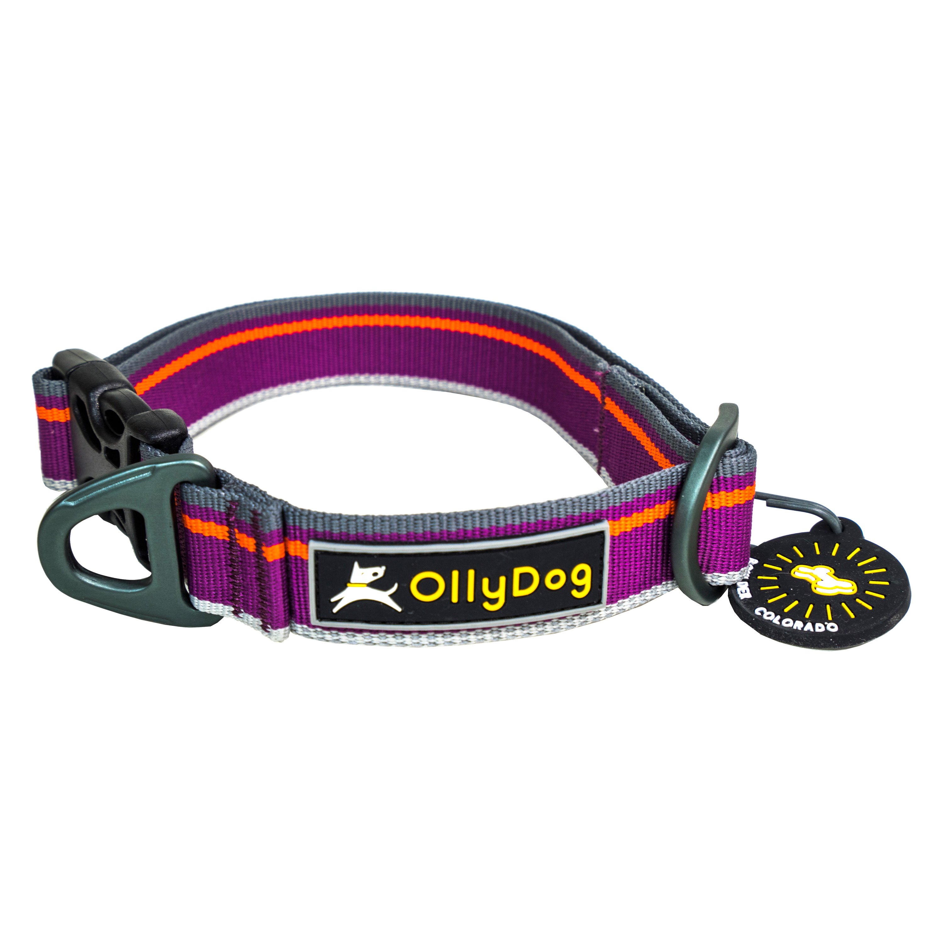 Olly Dog® 10" to 14" Polyester Reflective Everyday Dog Collar