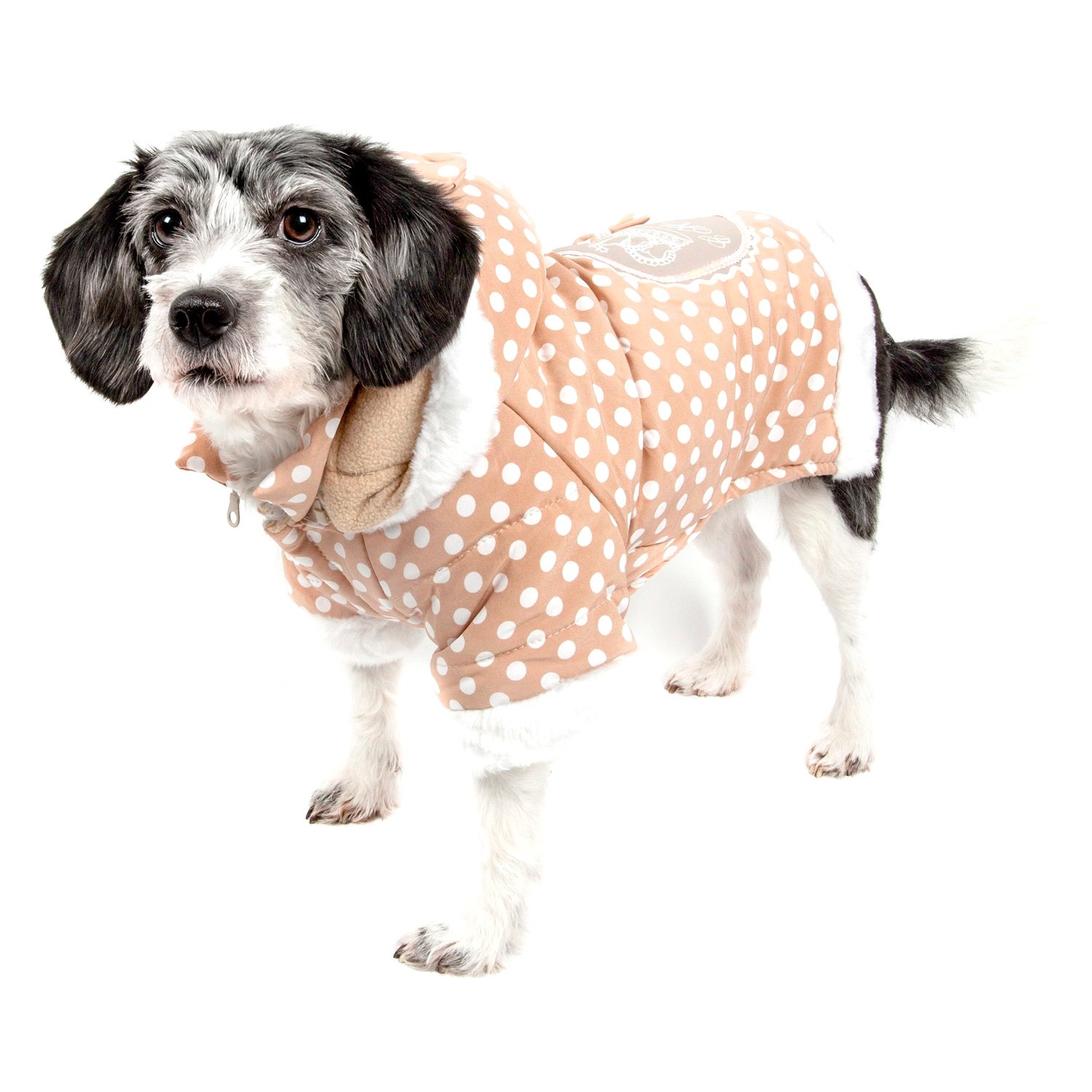 insulated dog jacket