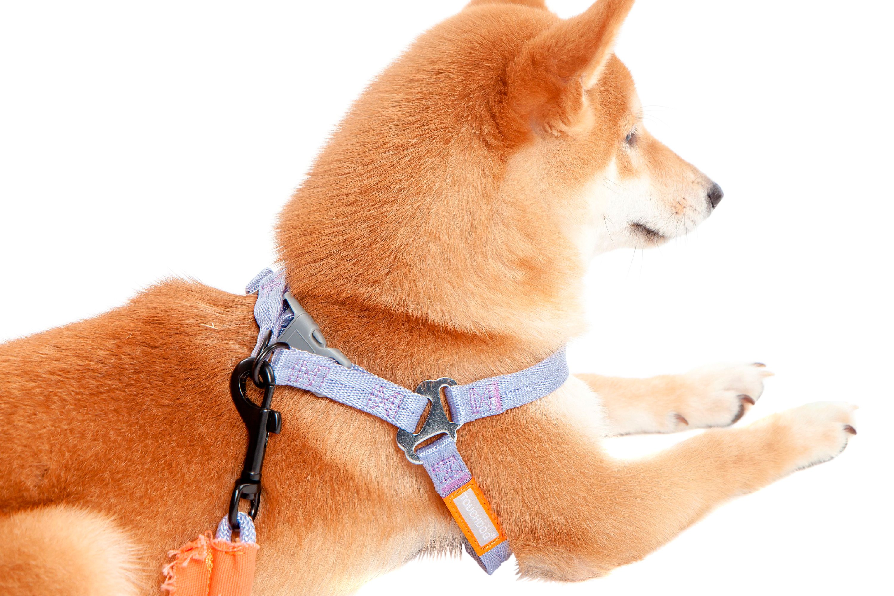 touchdog harness