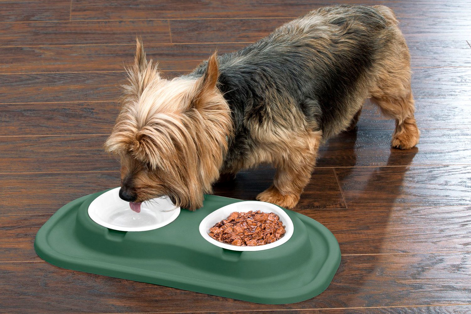 PETCOMFORT Double High Dog Bowl with Standard Mat Feeding System, Hunter  Green, 10-in Stand 